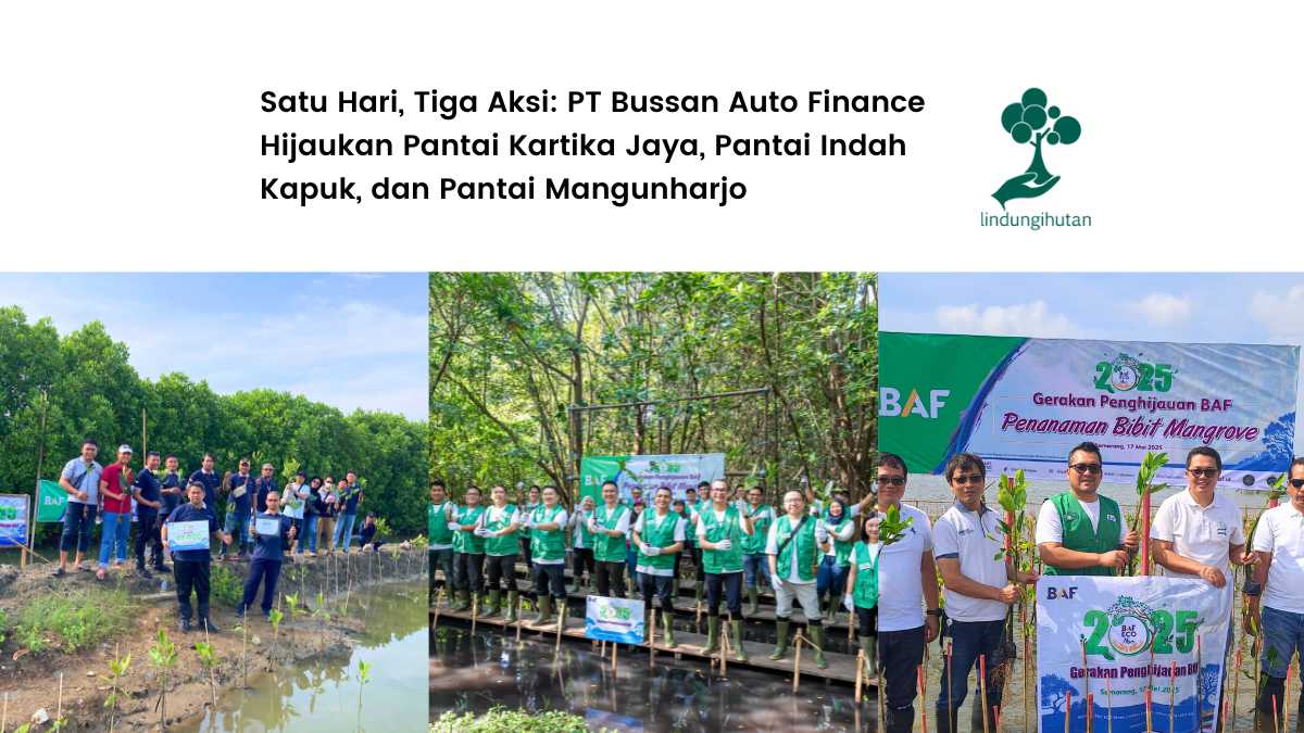 gerakan penghijauan baf Bussan Auto Finance