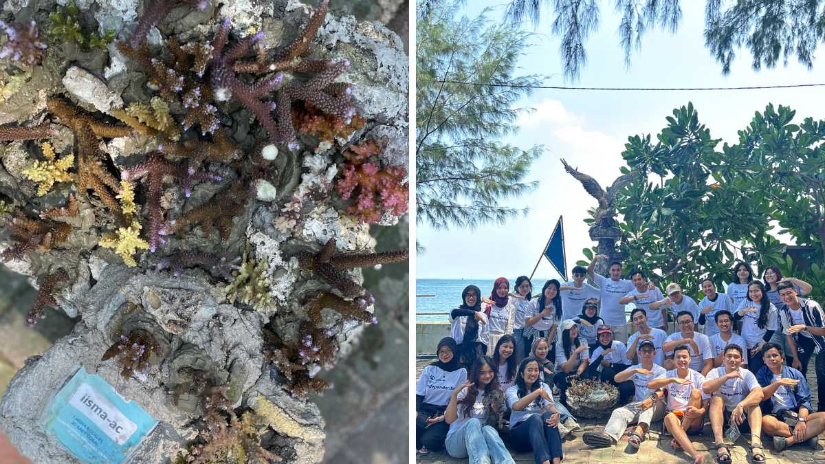 hari kemerdekaan indonesia 2025 IISMA alumni club