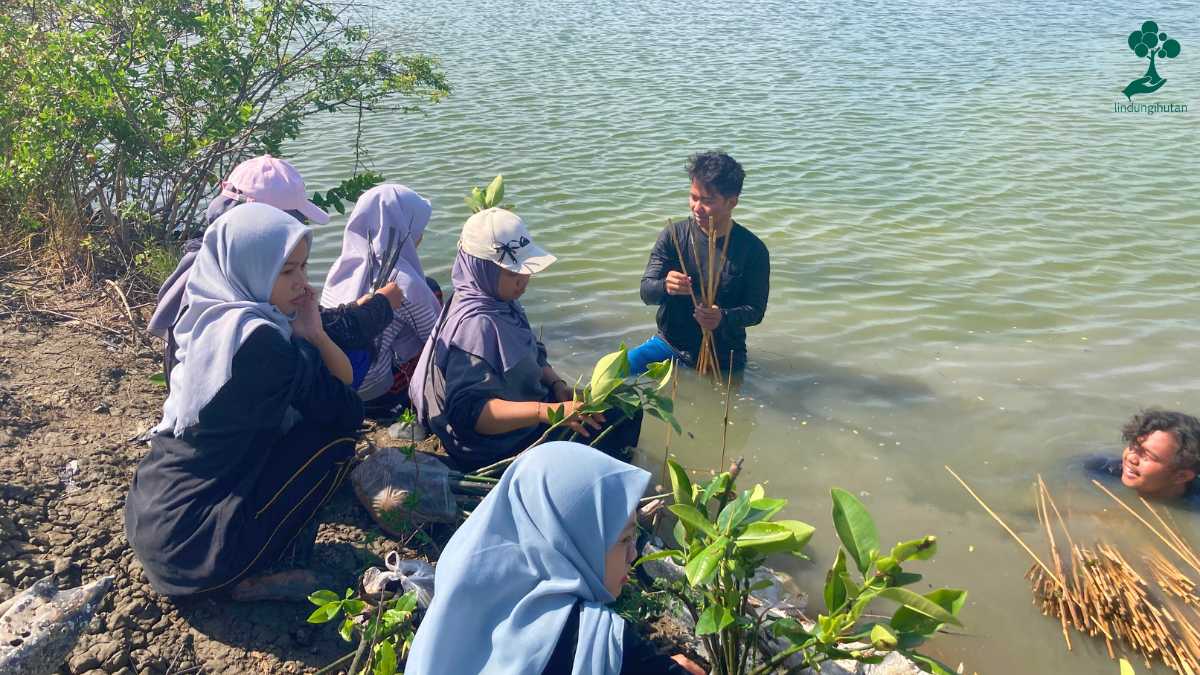 kampanye alam lindungihutan dinia