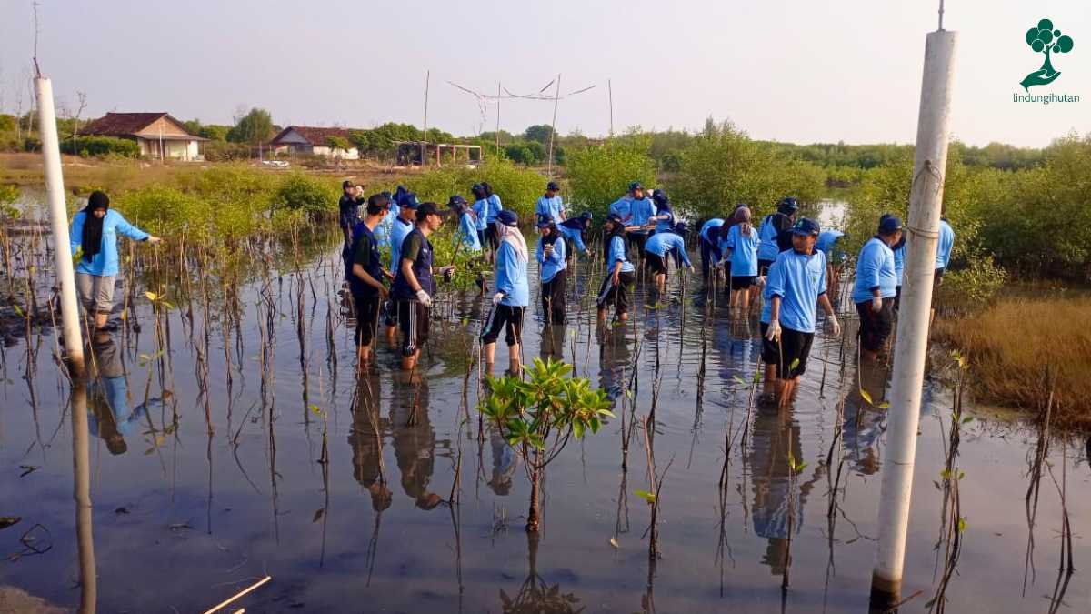 kampanye alam qiyi indonesia
