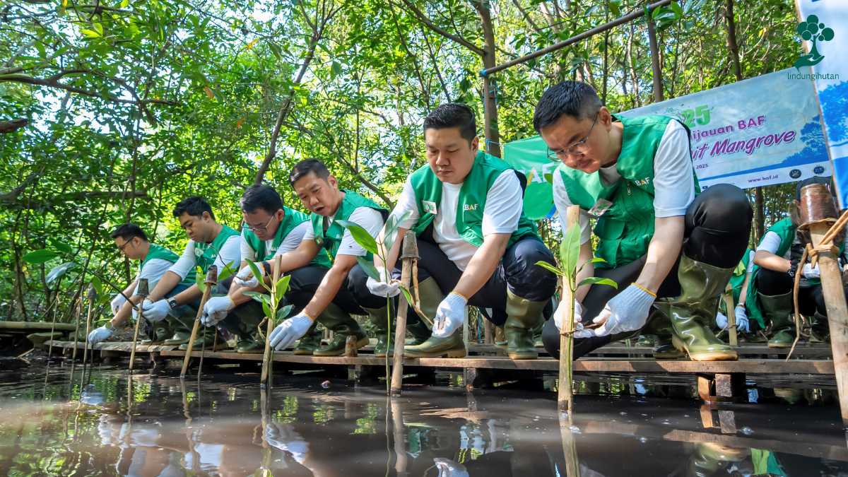 pantai indah kapuk baf bussan level pendekatan csr lindungihutan