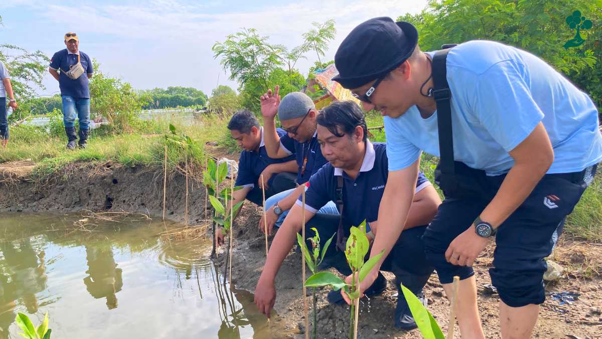 pantai kartika gerakan penghijauan baf lindungihutan