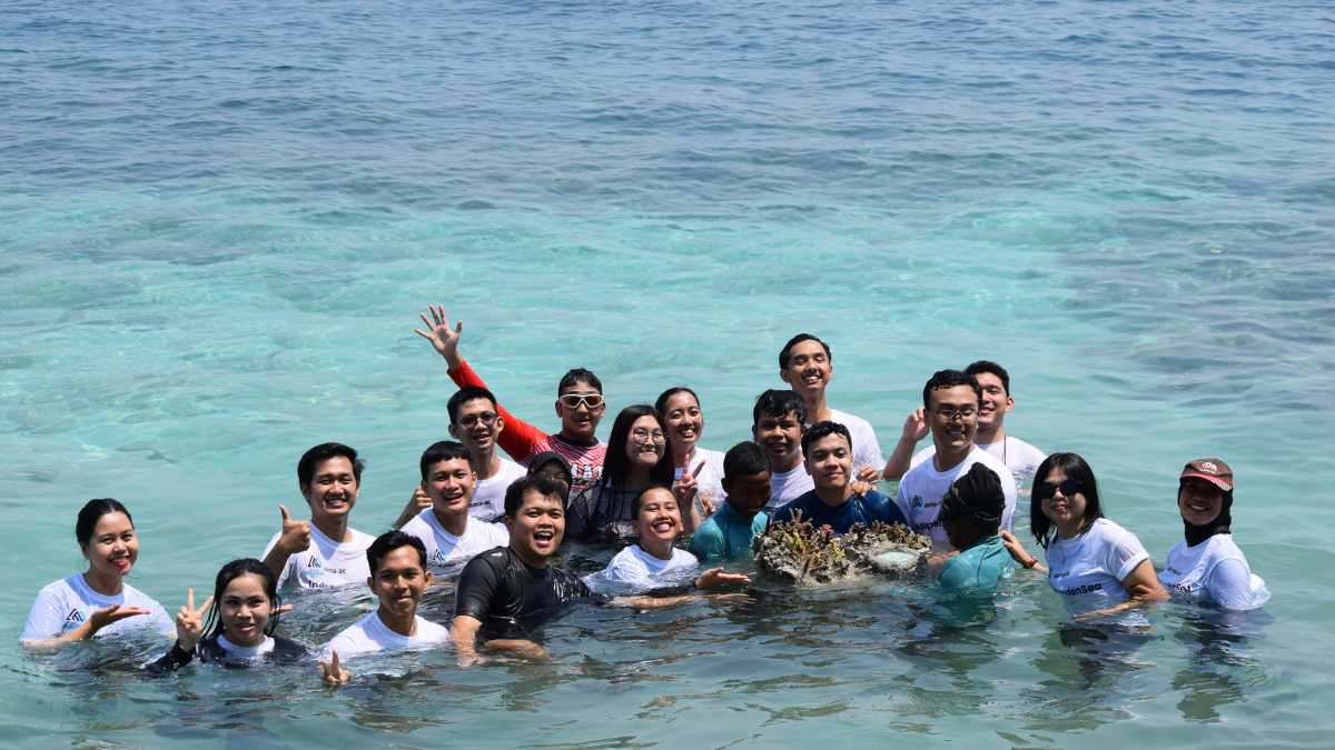 pelepasan media rocklife terumbu karang