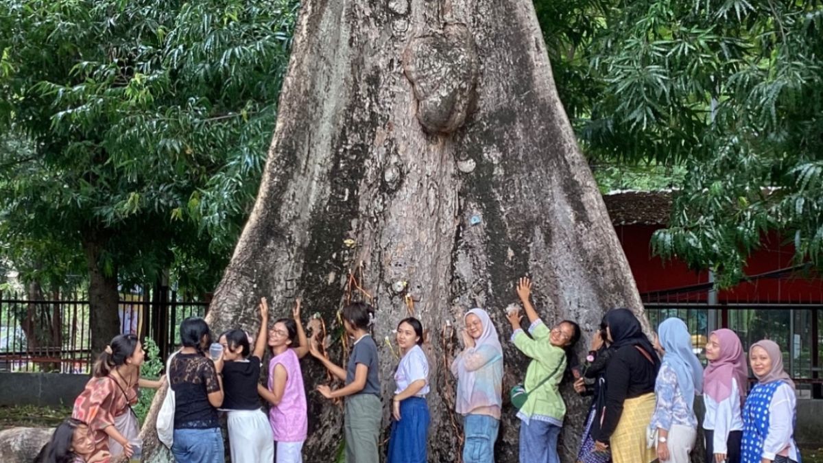 peluk pohon risa vibia kampanye alam lindungihutan