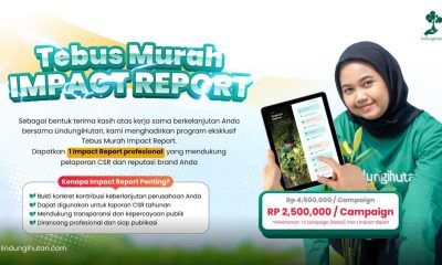 promo tebus murah impact report