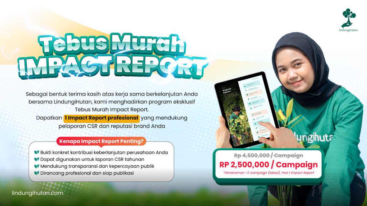 promo tebus murah impact report
