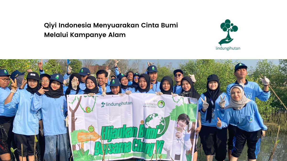 qiyi indonesia cheng yi
