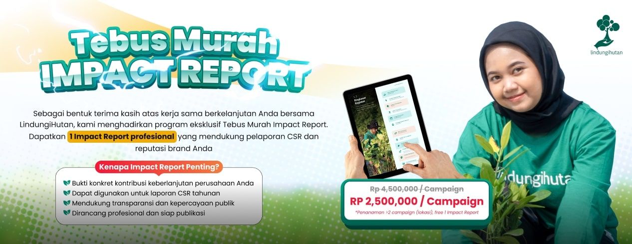 tebus murah impact report