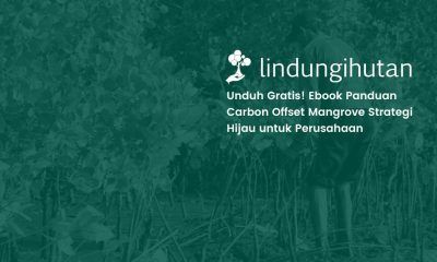 download carbon offset mangrove pdf indungihutan
