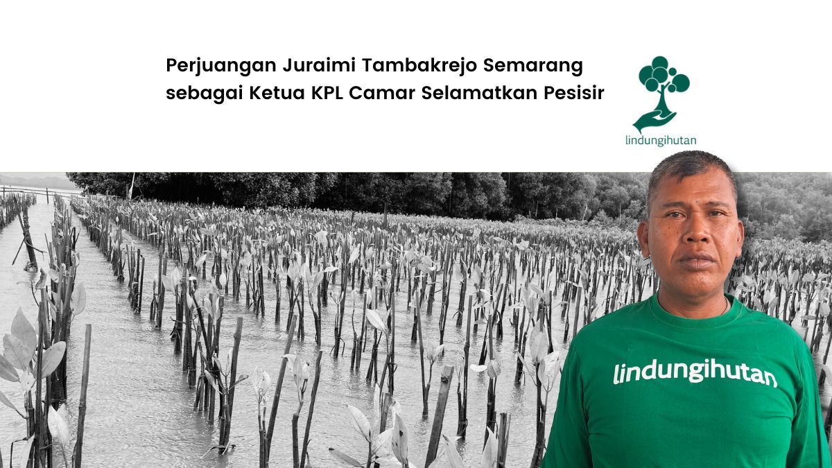 juraimi tambakrejo semarang kpl camar