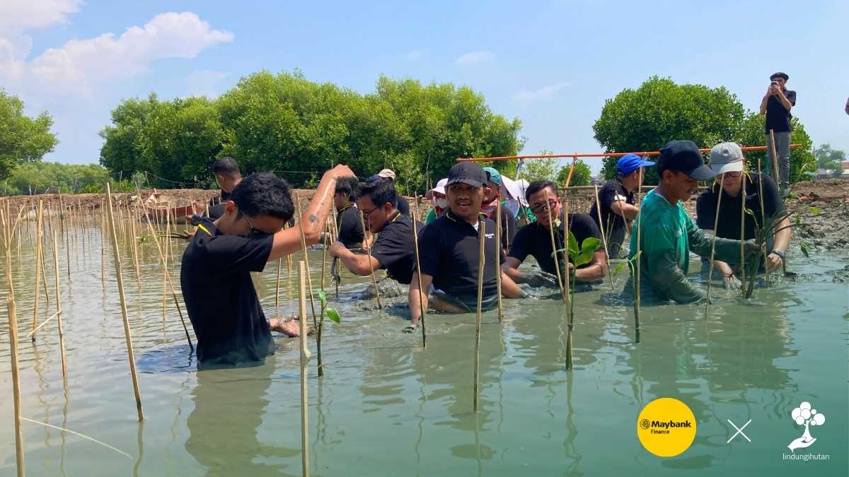 pt maybank indonesia finance lindungihutan