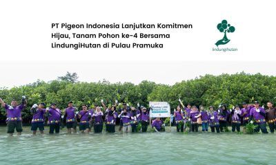 pt pigeon indonesia pulau pramuka