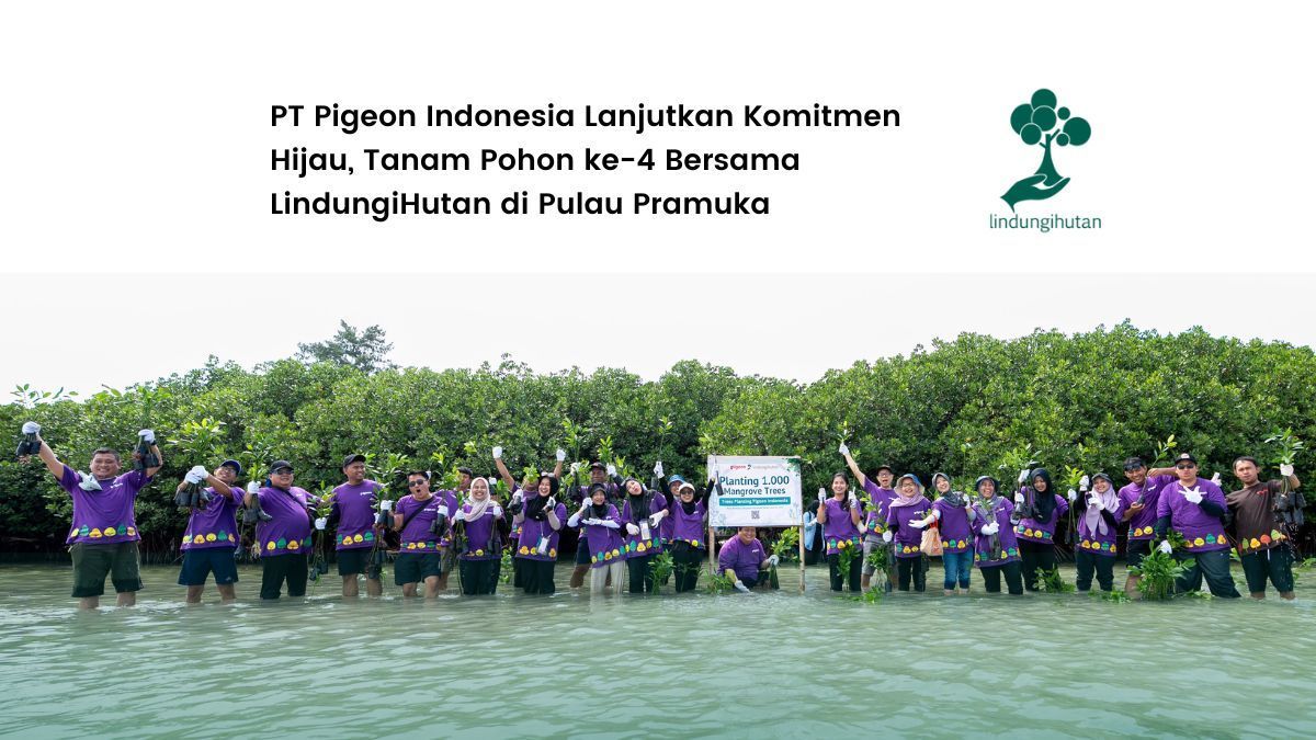 pt pigeon indonesia pulau pramuka