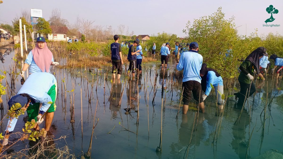 Sandyours Rayakan Ulang Tahun Sandy dengan Kampanye Alam 83 sandy kristian waluyo lindungihutan
