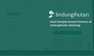 tutorial cek dampak donasi online lindungihutan