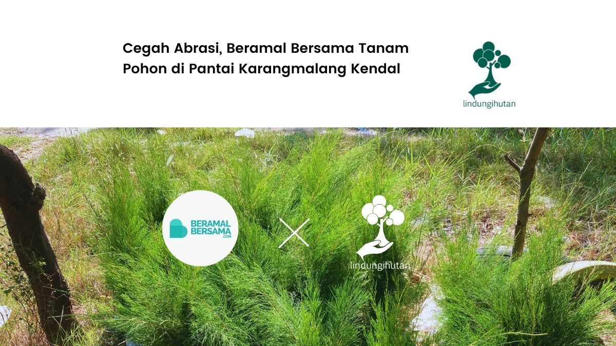 yayasan sahabat beramal bersama