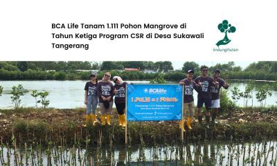 bca life lindungihutan desa sukawali