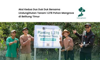 dus duk duk belitung timur pohon