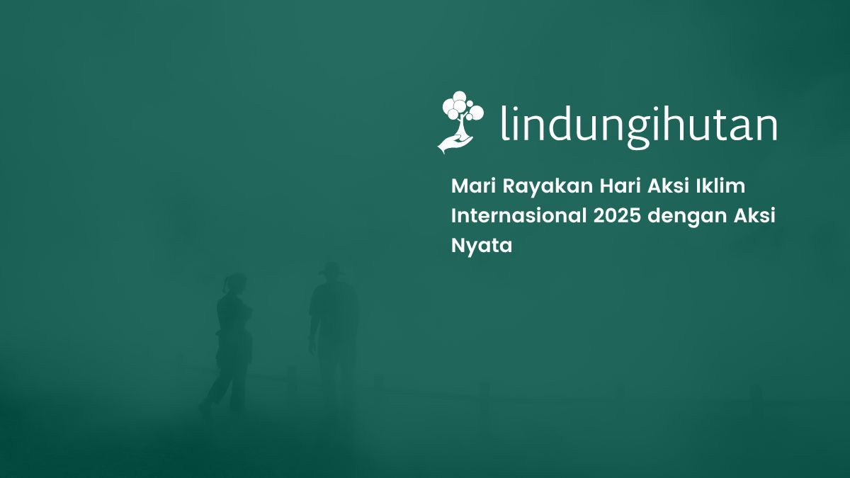 hari aksi iklim internasional 2025 lindungihutan