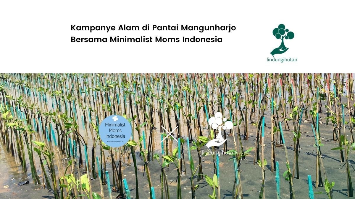 minimalist moms indonesia di pantai mangunharjo semarang