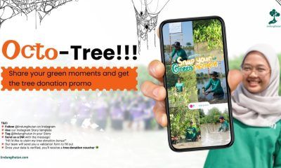 voucher donasi pohon octo-tree lindungihutan