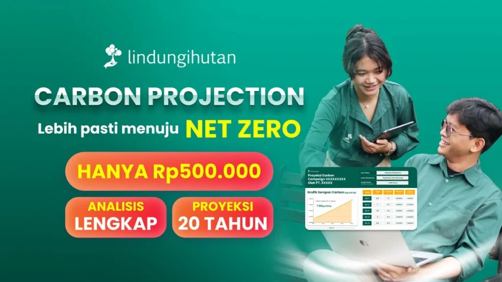 carbon projection lindungihutan carbon project proyeksi