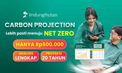 carbon projection lindungihutan carbon project proyeksi