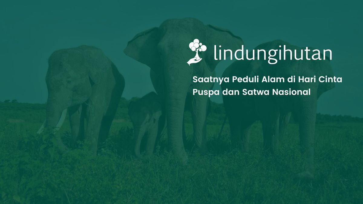 hari cinta puspa dan satwa nasional 2025