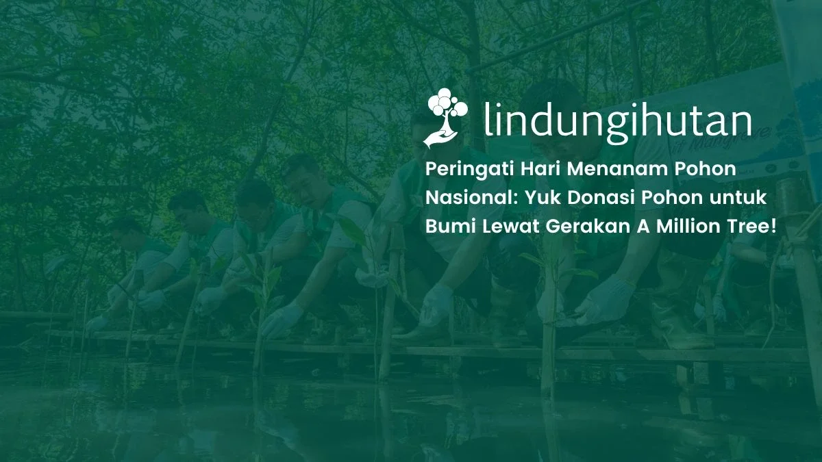hari menanam pohon nasional donasi a million tree