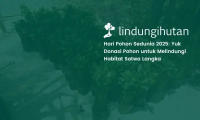 hari pohon sedunia 2025 world tree day lindungihutan