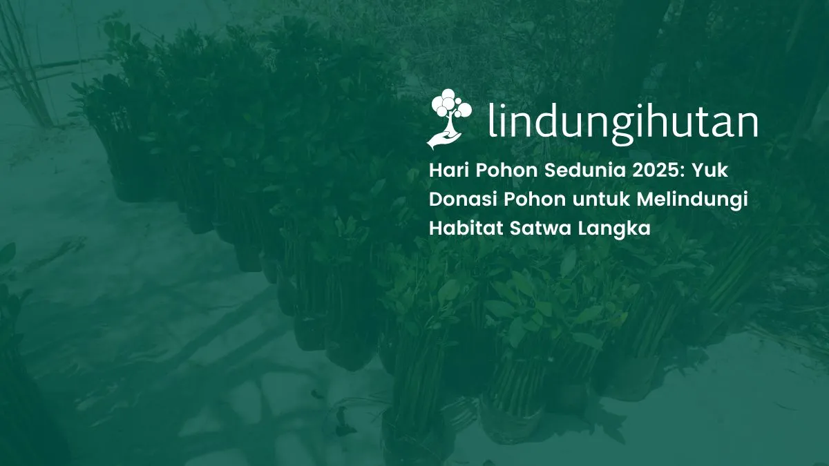 hari pohon sedunia 2025 world tree day lindungihutan