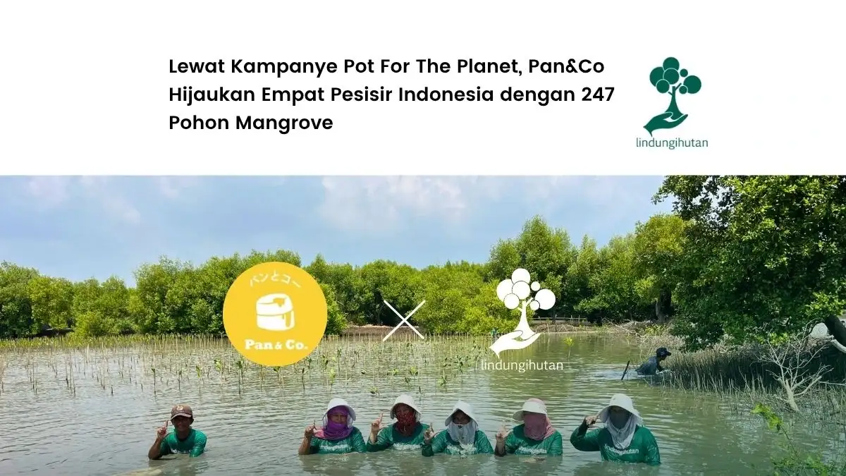 pan&co panco kampanye pot for the planet lindungihutan