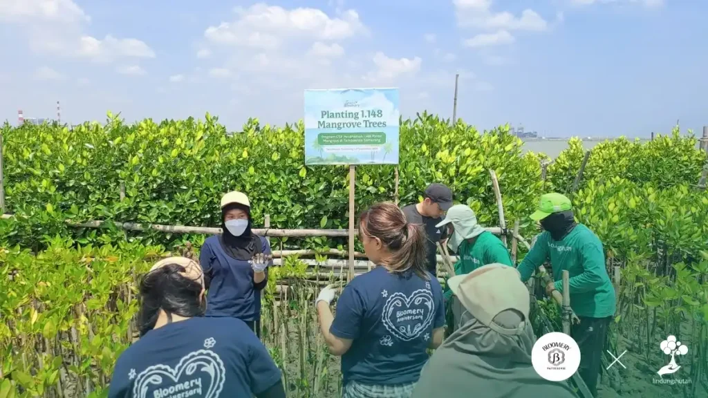 penanaman mangrove Bloomery Patisserie lindungihutan pesisir tambakrejo