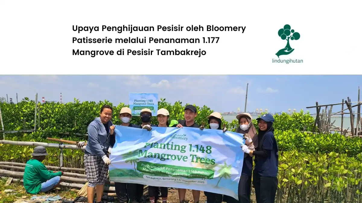 penanaman pohon Bloomery Patisserie