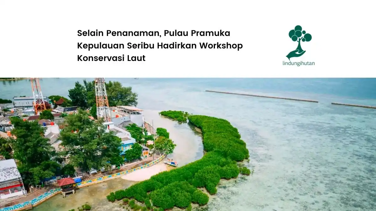 pulau pramuka kepulauan seribu