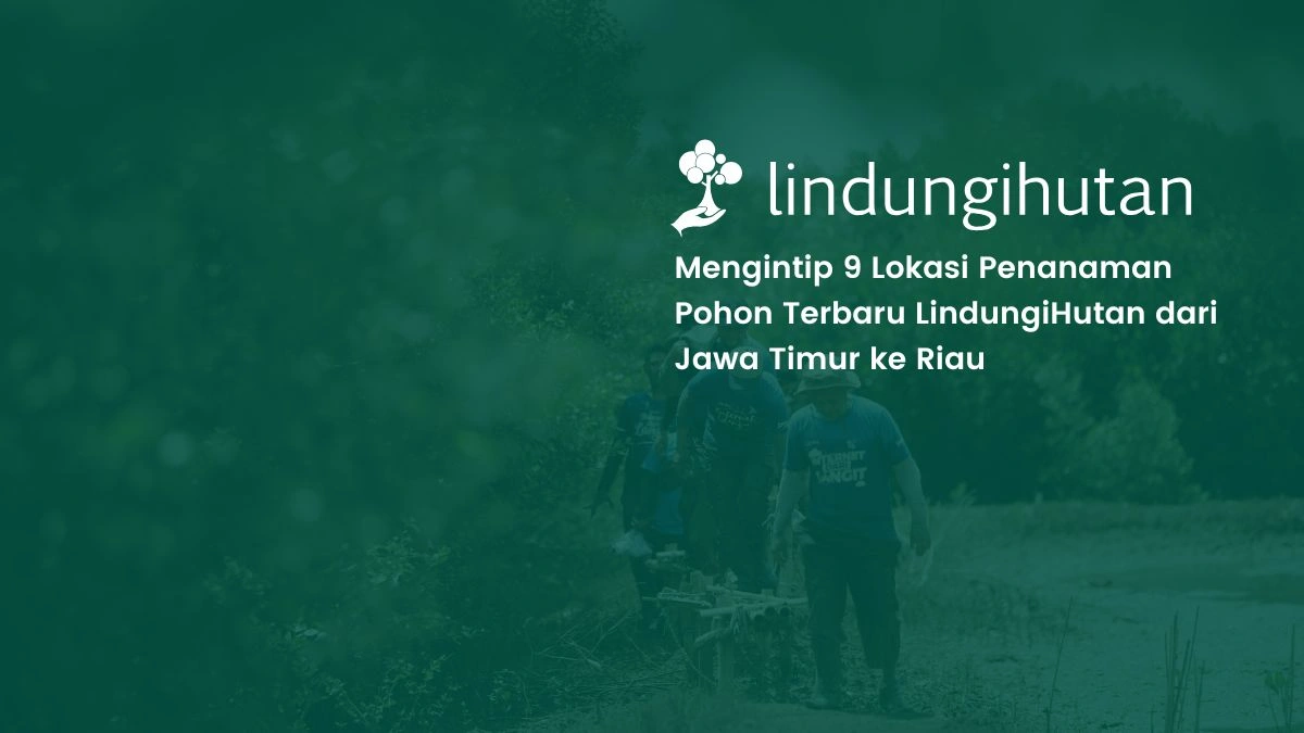 9 lokasi penanaman pohon terbaru 2025