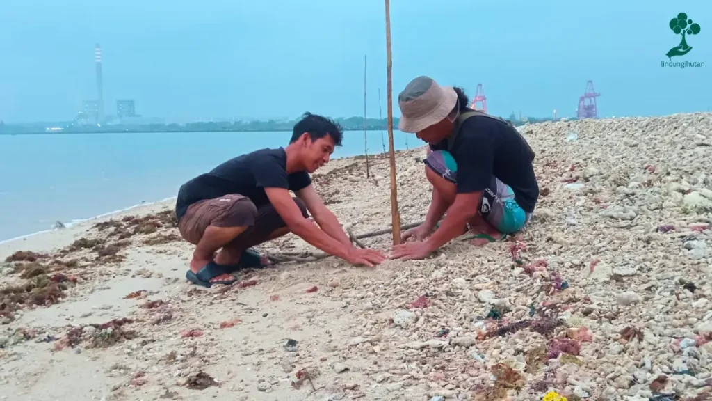 9 Lokasi Penanaman Pohon Terbaru, dari Jawa hingga Riau 89 Desa Margagiri, Pandeglang, Banten