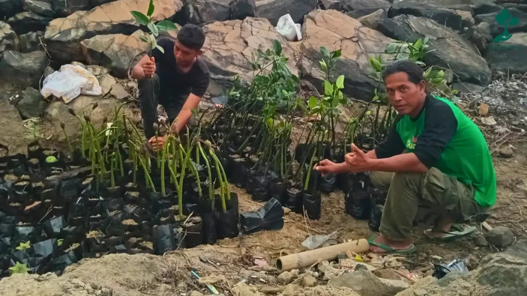 9 Lokasi Penanaman Pohon Terbaru, dari Jawa hingga Riau 92 Desa Margagiri di Kecamatan Bojonegara, Kabupaten Serang, Banten