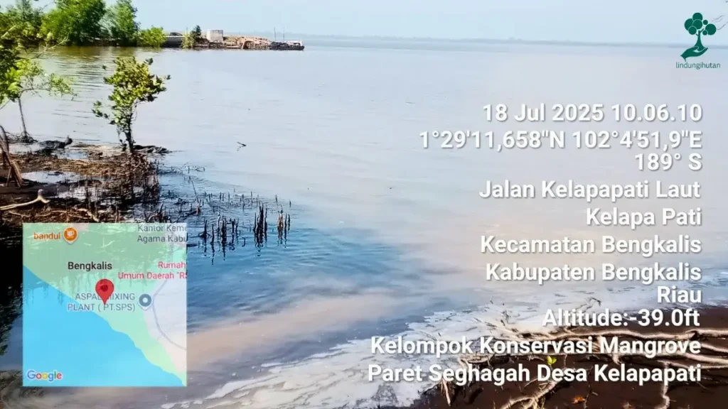 9 Lokasi Penanaman Pohon Terbaru, dari Jawa hingga Riau 87 Pesisir Desa Kelapapati, Kabupaten Bengkalis, Riau lindungihutan