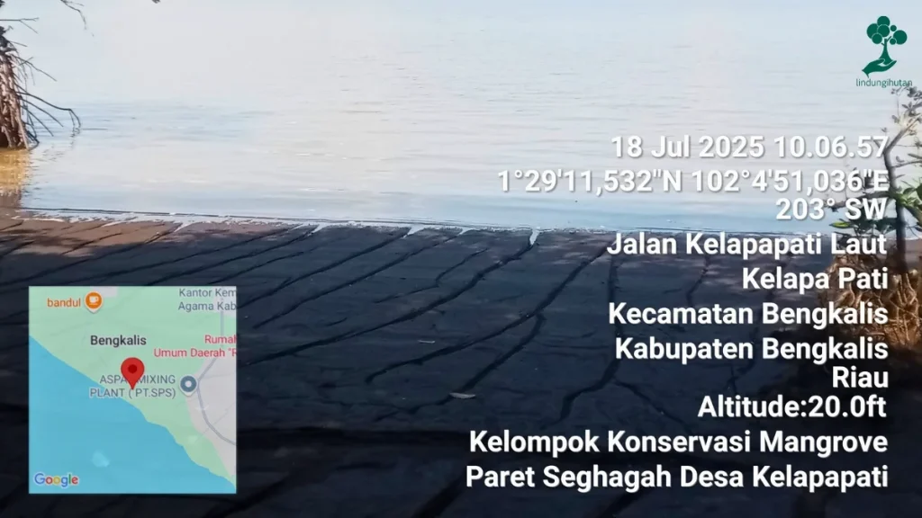 9 Lokasi Penanaman Pohon Terbaru, dari Jawa hingga Riau 88 Pesisir Desa Kelapapati, Kabupaten Bengkalis, Riau lokasi penanaman pohon
