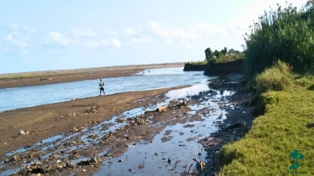 9 Lokasi Penanaman Pohon Terbaru, dari Jawa hingga Riau 93 Pesisir Leuwi Enis Garut Desa Mandalakasih