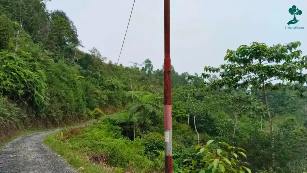 9 Lokasi Penanaman Pohon Terbaru, dari Jawa hingga Riau 97 Pondok Injuk, Taman Nasional Gunung Halimun Salak lindungihutan