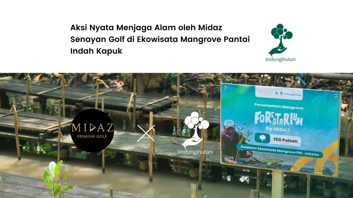 forestarium midaz senayan golf pantai indah kapuk jakarta