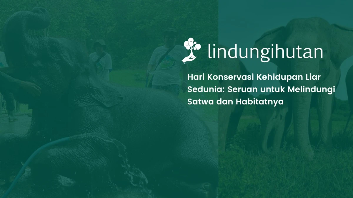 hari-konservasi-kehidupan-liar-sedunia-2025