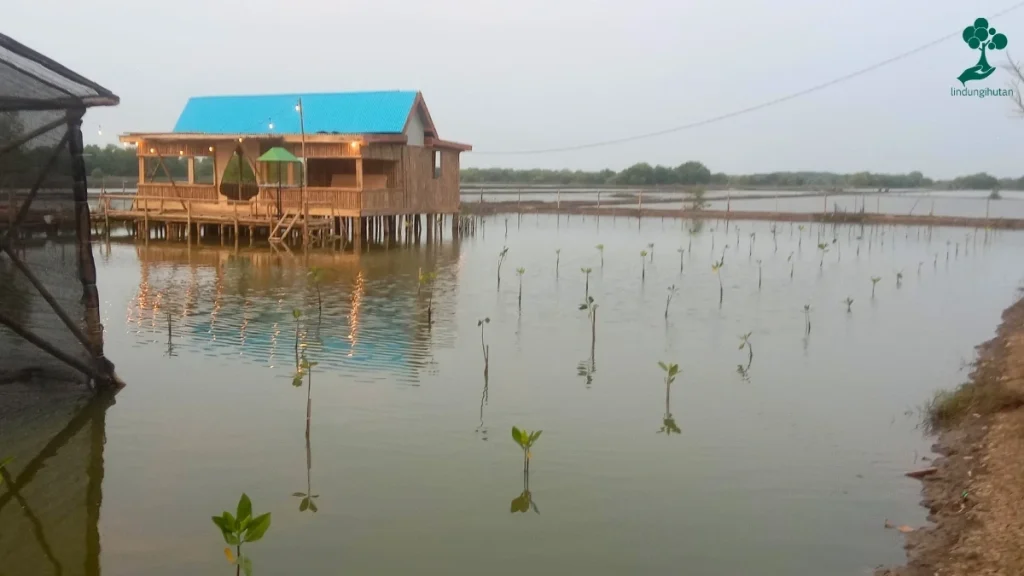 9 Lokasi Penanaman Pohon Terbaru, dari Jawa hingga Riau 107 lokasi penanaman pohon Desa Anggasari, Kecamatan Sukasari, Kabupaten Subang