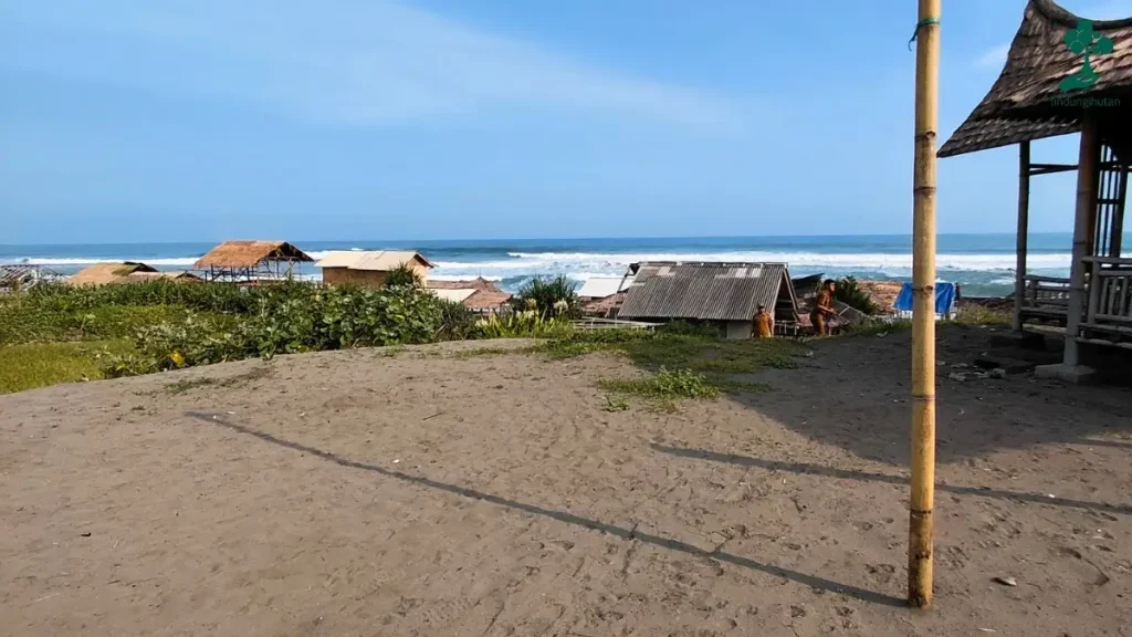 9 Lokasi Penanaman Pohon Terbaru, dari Jawa hingga Riau 101 lokasi penanaman pohon Pantai Citanggeuleuk garut