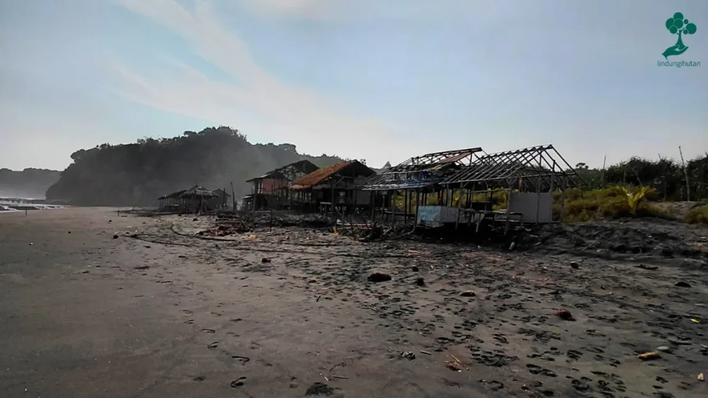 9 Lokasi Penanaman Pohon Terbaru, dari Jawa hingga Riau 100 lokasi penanaman pohon Pantai Citanggeuleuk kabupaten garut