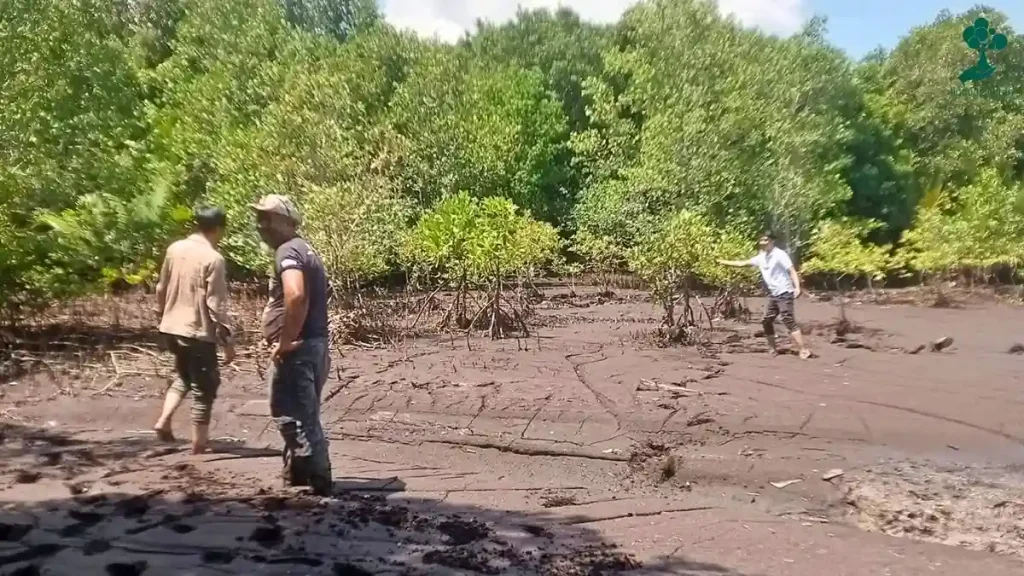 9 Lokasi Penanaman Pohon Terbaru, dari Jawa hingga Riau 85 lokasi penanaman pohon Pesisir Desa Kelapapati, Kabupaten Bengkalis, Riau
