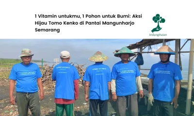 penanaman pohon tomo kenko di pantai mangunharjo semarang