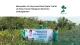 perayaan mangrove for jin day dari jin base bersama lindungihutan